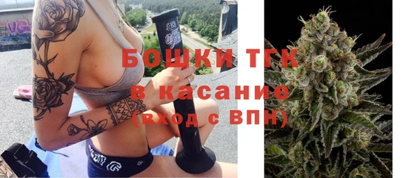 прущие крисы Аркадак
