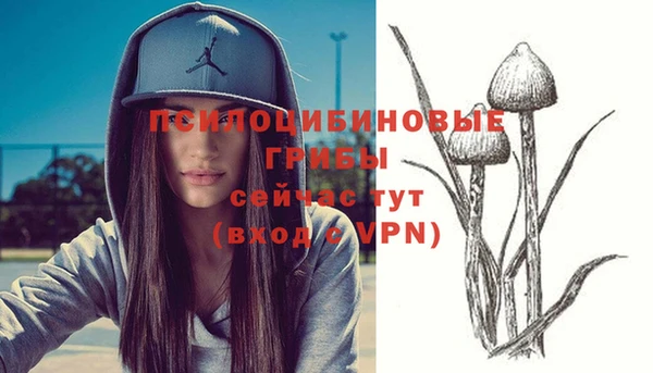 прущие крисы Аркадак