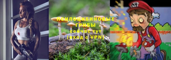 прущие крисы Аркадак
